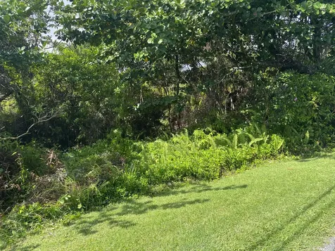 Kukane Road Keaau HI 96749