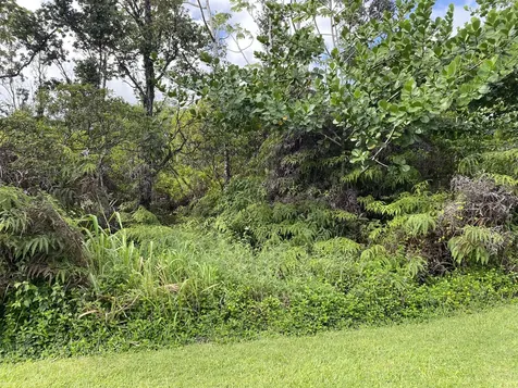 Kukane Road Keaau HI 96749