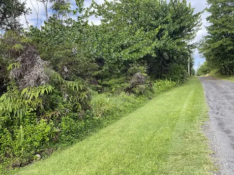 Kukane Road Keaau HI 96749