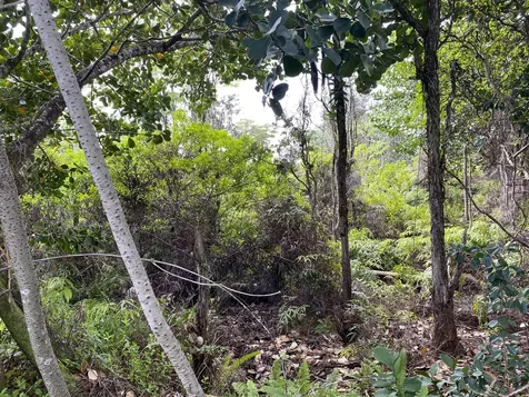 Kukane Road Keaau HI 96749