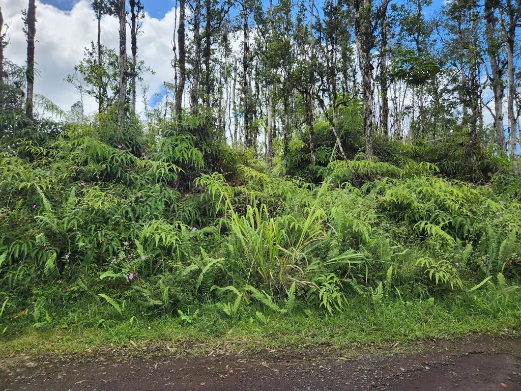 Holiday Road Pahoa HI 96778