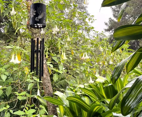 18-1994 Ua Nani Road Mountain View HI 96771