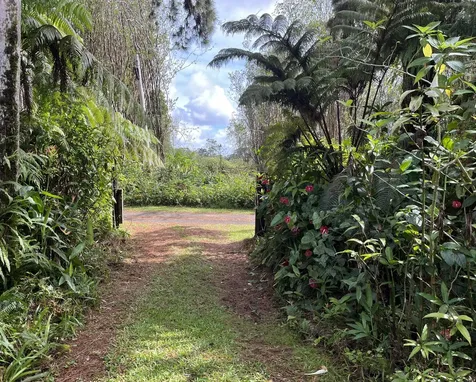 18-1994 Ua Nani Road Mountain View HI 96771