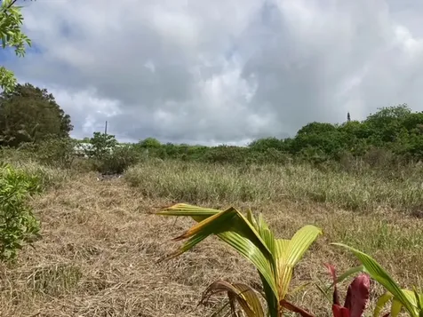 94-6374 Pele Street Naalehu HI 96772