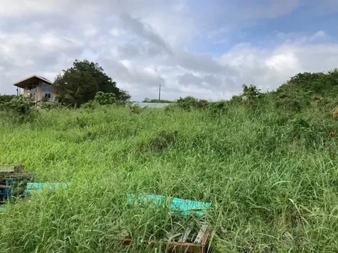 94-6374 Pele Street Naalehu HI 96772