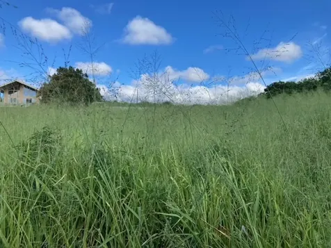 94-6374 Pele Street Naalehu HI 96772