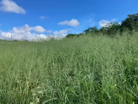 94-6374 Pele Street Naalehu HI 96772