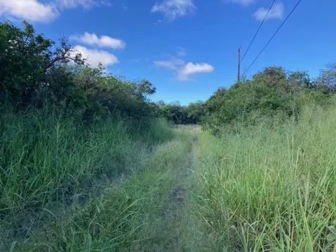 94-6374 Pele Street Naalehu HI 96772