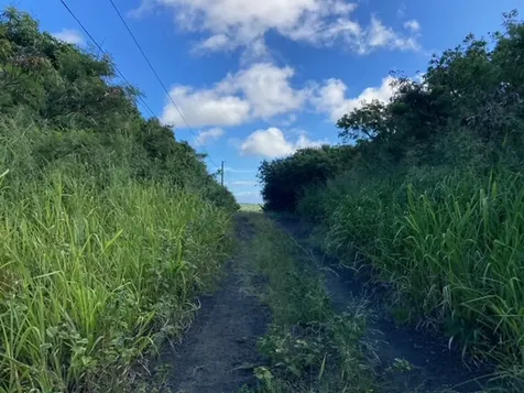 94-6374 Pele Street Naalehu HI 96772