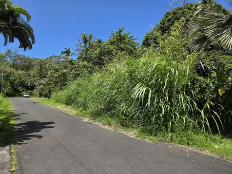 Oopu Street Pahoa HI 96778