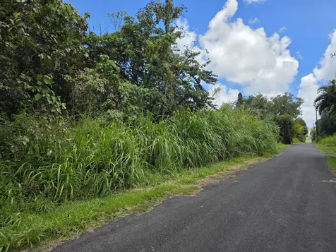 Oopu Street Pahoa HI 96778