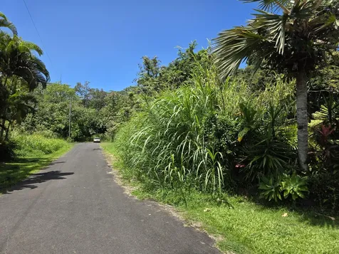 Oopu Street Pahoa HI 96778