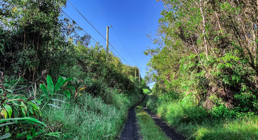 18-1228 Oahu Street Mountain View HI 96771