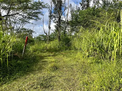 16-1483 38th Avenue Kurtistown HI 96760