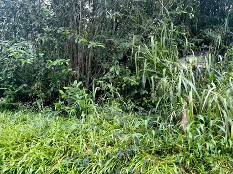 16-1483 38th Avenue Kurtistown HI 96760