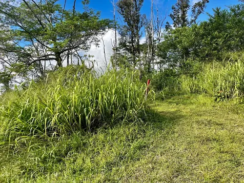 16-1483 38th Avenue Kurtistown HI 96760