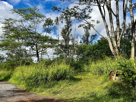 16-1483 38th Avenue Kurtistown HI 96760