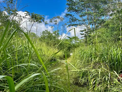 16-1483 38th Avenue Kurtistown HI 96760