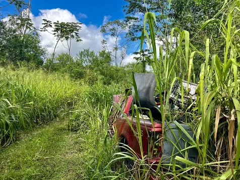 16-1483 38th Avenue Kurtistown HI 96760