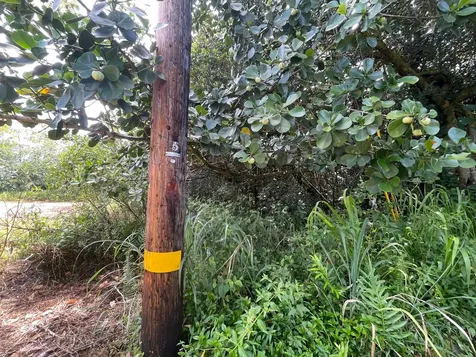 15-2005 2nd Avenue Keaau HI 96749