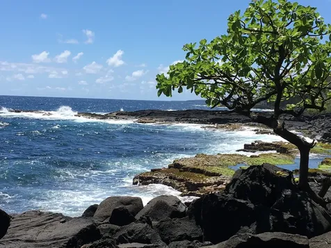 15-2005 2nd Avenue Keaau HI 96749