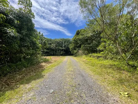 15-2005 2nd Avenue Keaau HI 96749