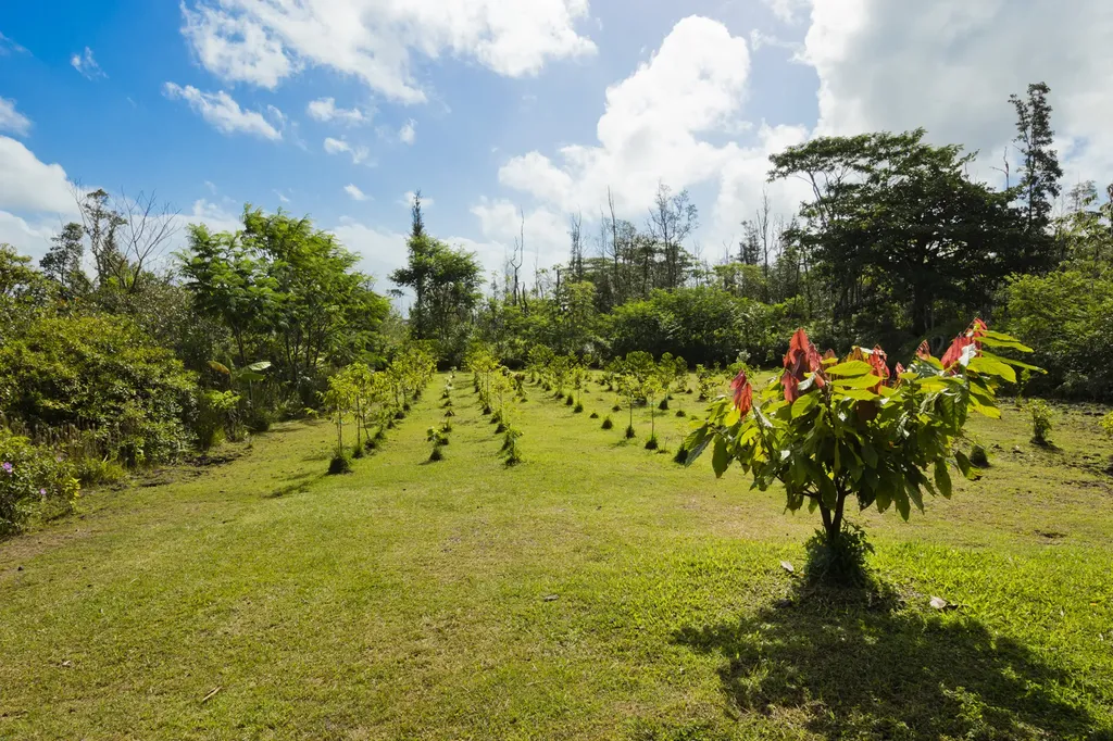 16-1487 39th Avenue Keaau HI 96749