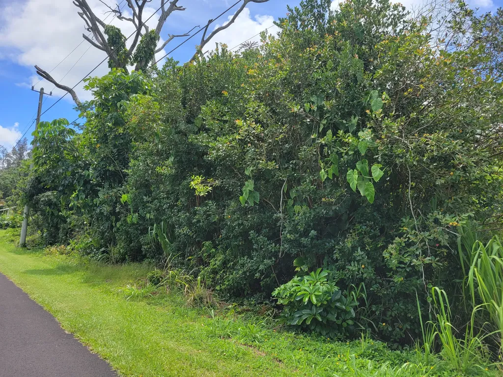 Kaku Street Pahoa HI 96778
