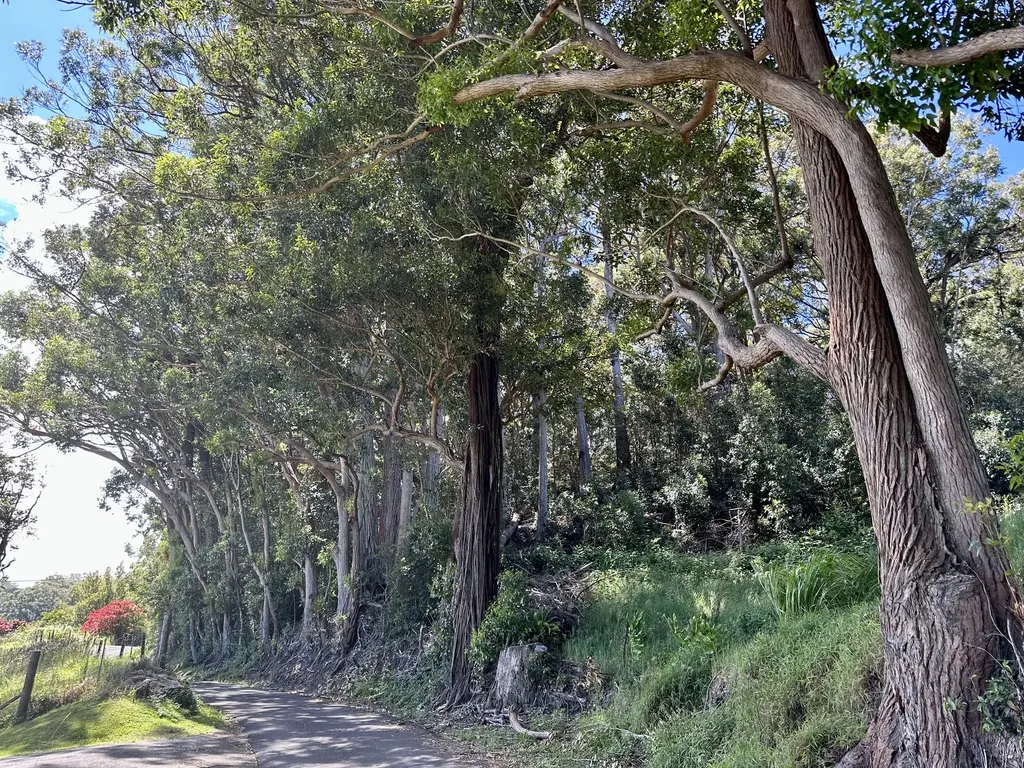 Kaapahu Road Honokaa HI 96727