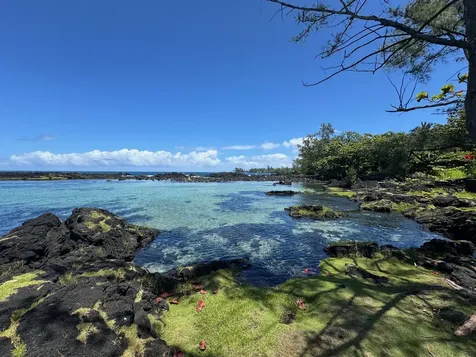 1979 Kalanianaole Street Hilo HI 96720