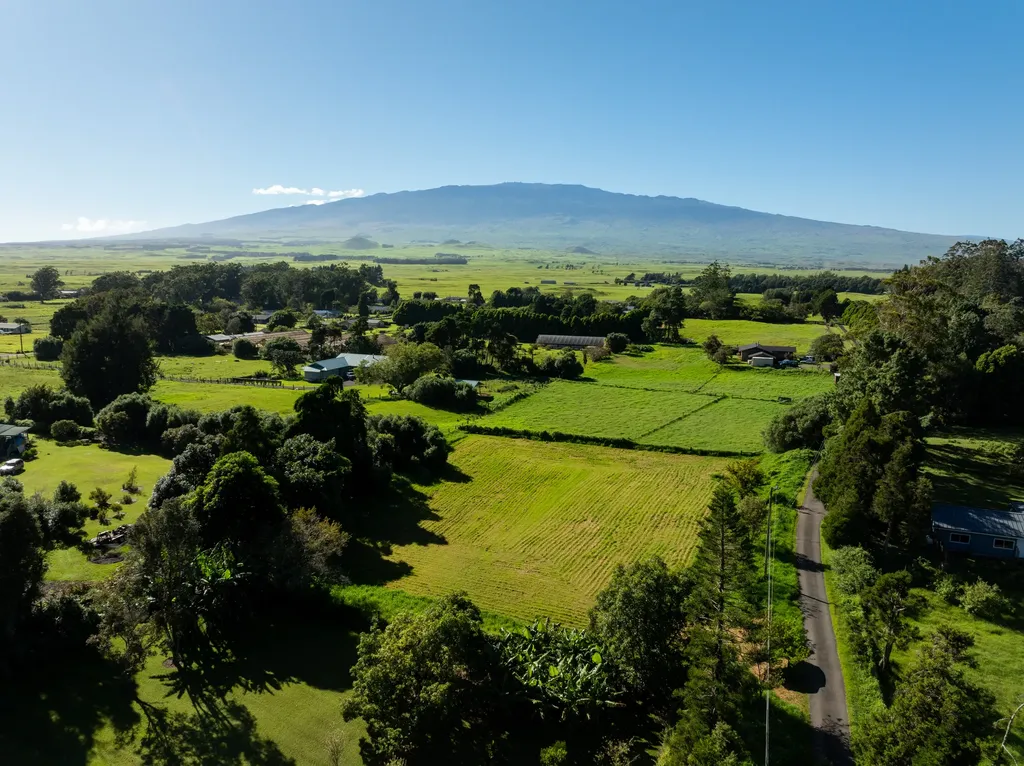 64-5154 Pukuniahi Place Kamuela HI 96743
