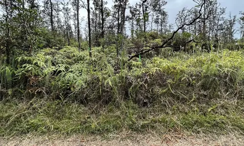 Io Kea Road (Road 4) Mountain View HI 96771