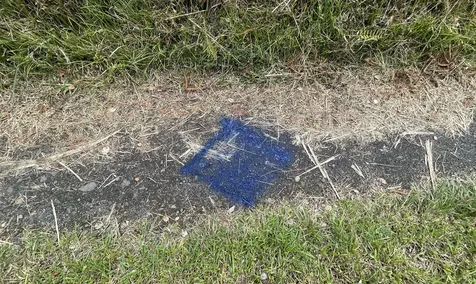 Io Kea Road (Road 4) Mountain View HI 96771