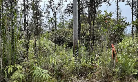 Io Kea Road (Road 4) Mountain View HI 96771