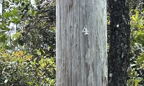 Io Kea Road (Road 4) Mountain View HI 96771