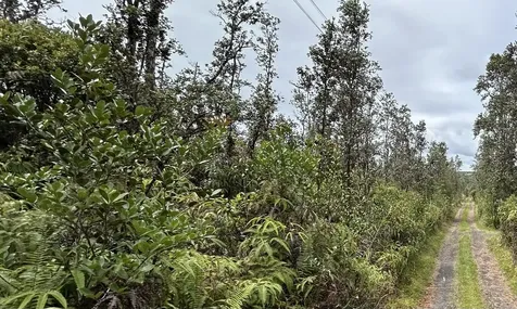 Io Kea Road (Road 4) Mountain View HI 96771