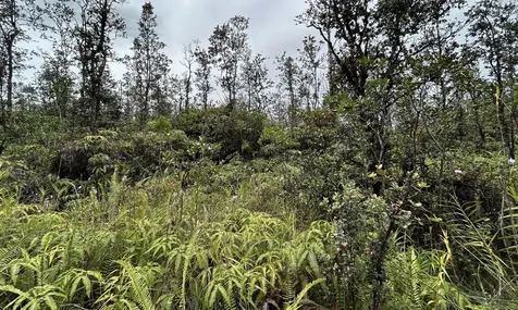 Io Kea Road (Road 4) Mountain View HI 96771