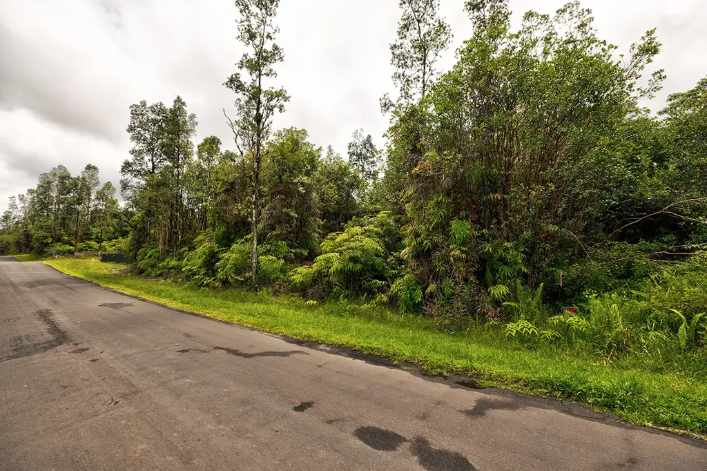 Plumeria Street Mountain View HI 96771