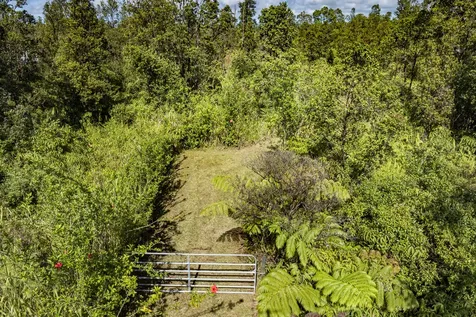 Pikake Street Mountain View HI 96771