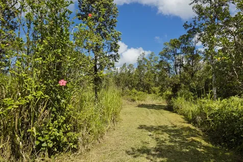 Pikake Street Mountain View HI 96771