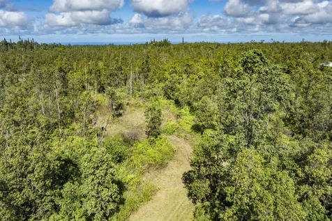 Pikake Street Mountain View HI 96771