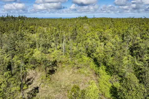 Pikake Street Mountain View HI 96771