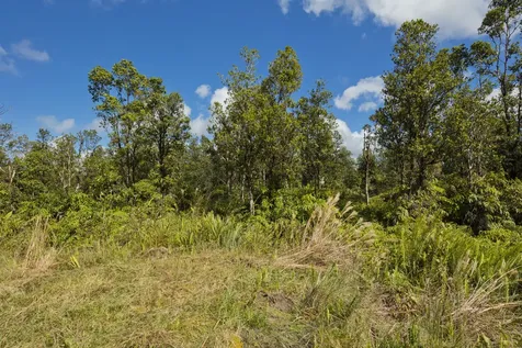 Pikake Street Mountain View HI 96771