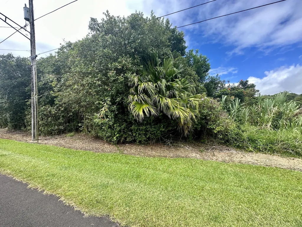 Launa Street Hilo HI 96720