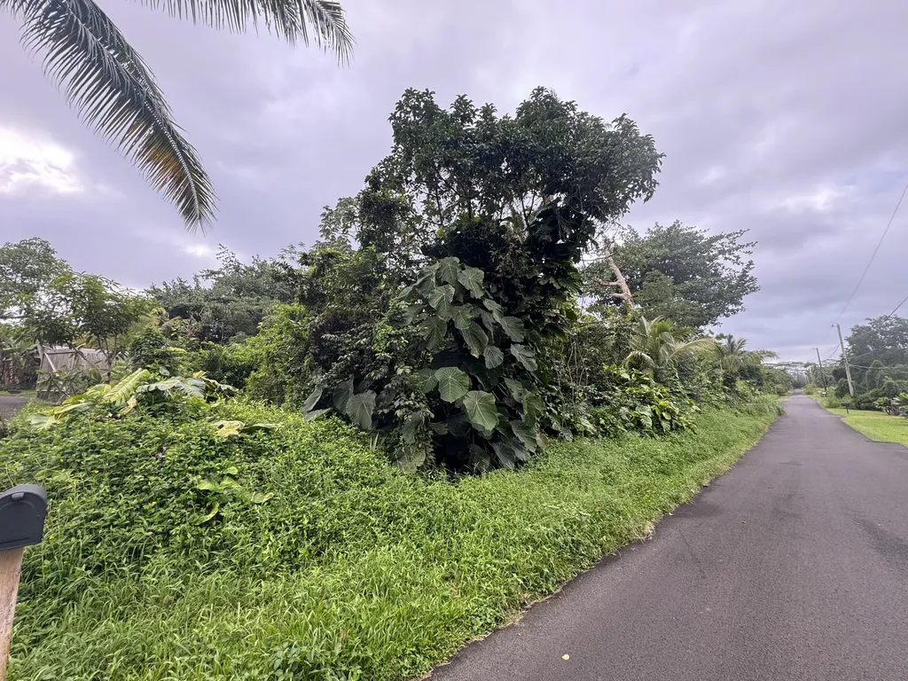 Opakapaka Street Pahoa HI 96778