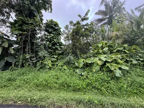 Opakapaka Street Pahoa HI 96778