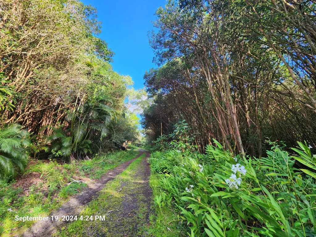 12-556 Molokai Street Pahoa HI 96778