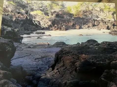 1 None Captain Cook HI 96704