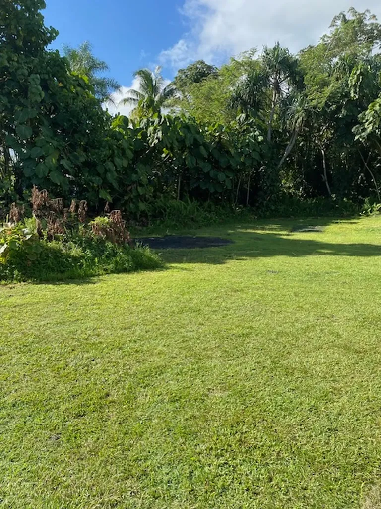 15-2714 Opakapaka Street Pahoa HI 96778