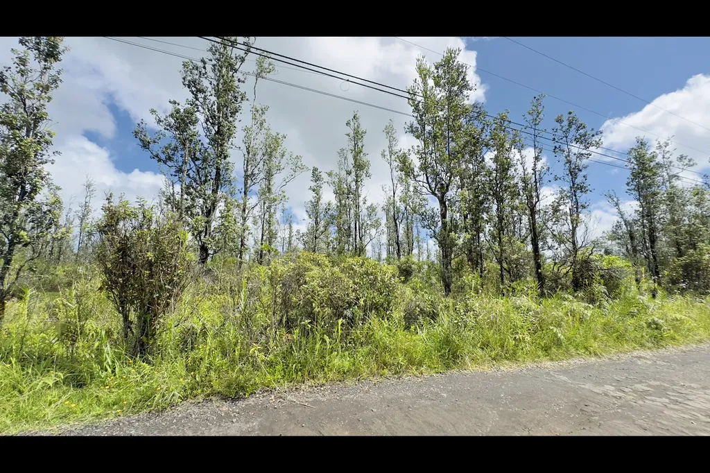 Road 8 (MOHO) Mountain View HI 96760